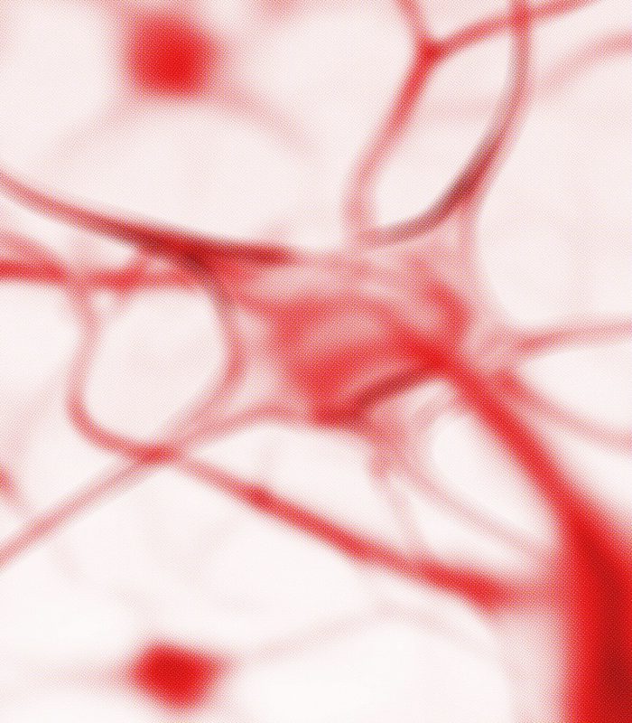 imparte docencia en consorcio de neuropsicologos - 1