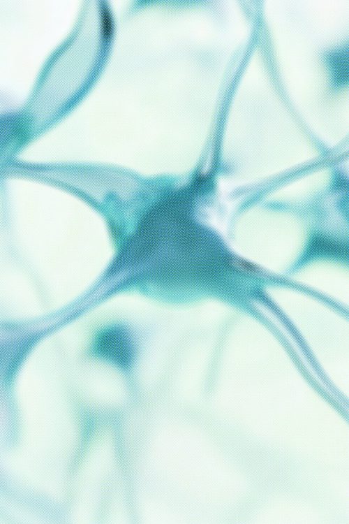 imparte docencia en consorcio de neuropsicologos - 2