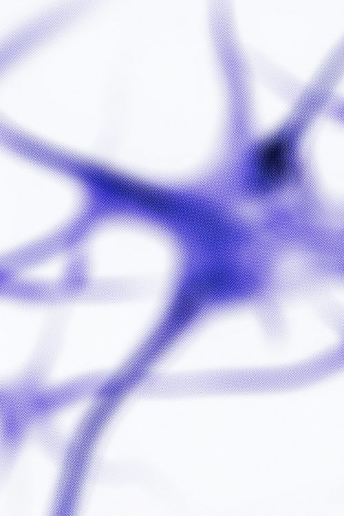 imparte docencia en consorcio de neuropsicologos - 3